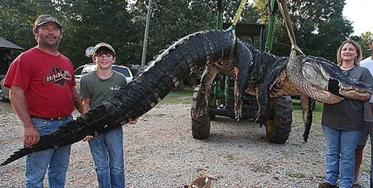 OMG, ये है दुनिया के सबसे बड़े और हैरान करने वाले जीव