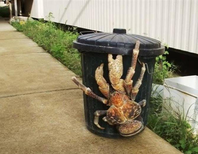 झूठ या सच? जानिए हैरान कर देने वाली Photos के पीछे की सच्चाई