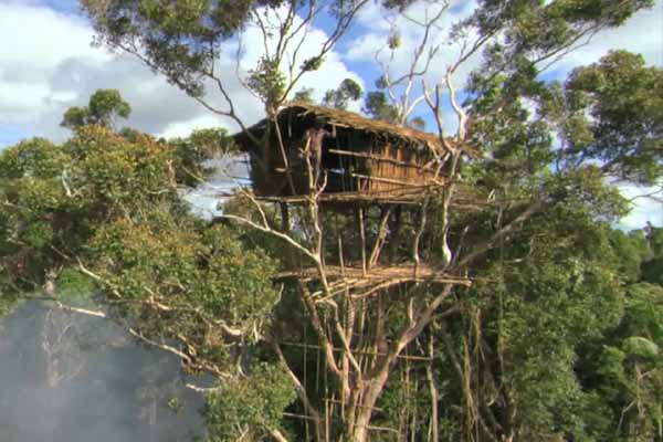 इंसानों को भी मारकर खा जाती है ये नरभक्षी जनजाति!