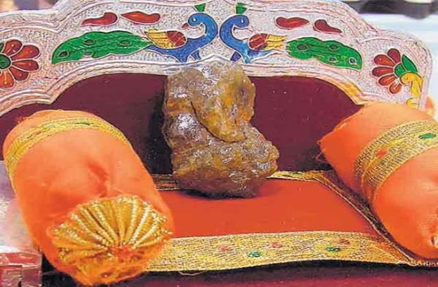 अरे वाह 600 करोड़ रुपए के गणेशजी भारत मे!