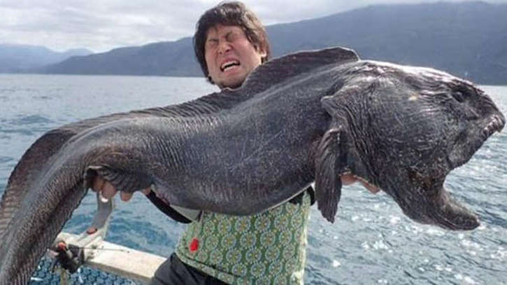 संसार के सबसे डरावने और घिनौने जानवर,कैसे और कौन