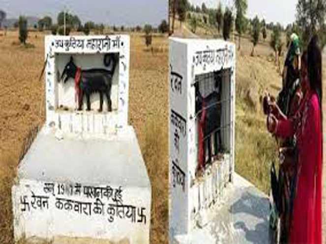 एक ऐसा मंदिर जहाँ भगवान के रूप में होती है कुतिया महारानी की पूजा