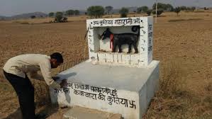 एक ऐसा मंदिर जहाँ भगवान के रूप में होती है कुतिया महारानी की पूजा