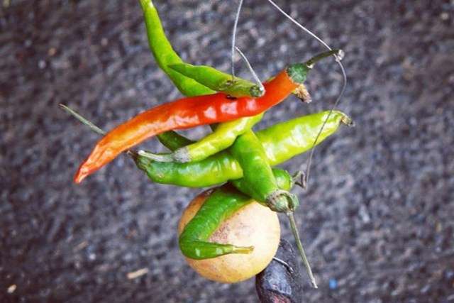 घर को बुरी नजर से बचाने के लिए करें यह वास्तु उपाय...!!