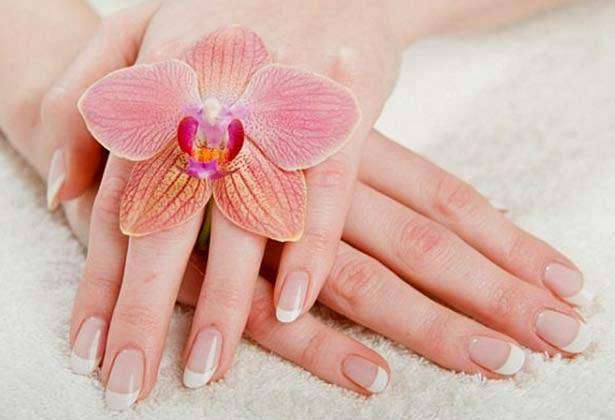 जानिए, उंगलियों के पास आप के शरीर के उन हिस्सों की सीक्रेट जानकारियां होती हैं !