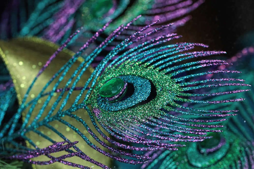 मोर से जुड़े कुछ मजेदार और रोचक तथ्य -Some fun and interesting facts related to peacocks -